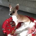 Terraza nueva Almeria